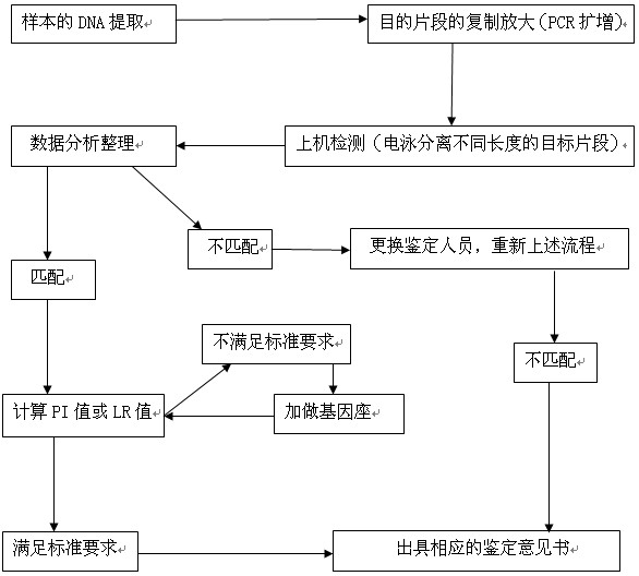 鑒定流程