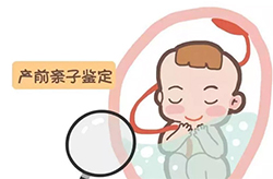 在内蒙古剛懷孕要如何辦(bàn)理(lǐ)産(chǎn)前親子鑒定，内蒙古做懷孕親子鑒定準不準确